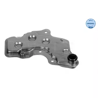Filtre hydraulique, boîte automatique MEYLE 300 243 4106