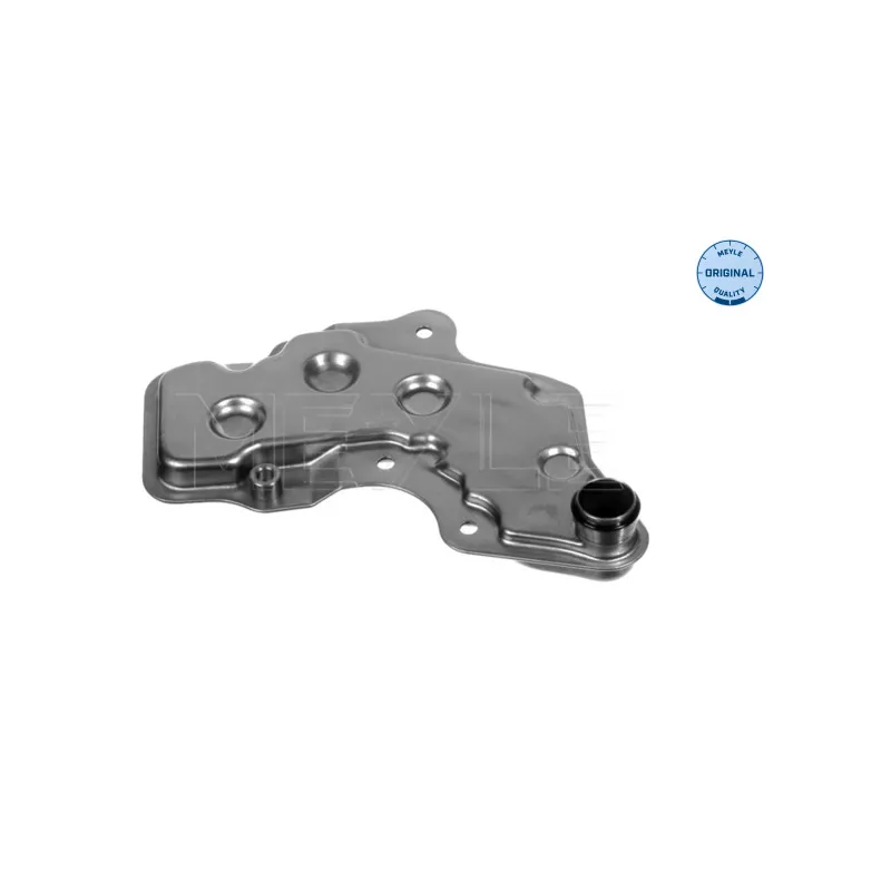 Filtre hydraulique, boîte automatique MEYLE 300 243 4106