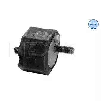 Suspension, boîte automatique MEYLE 300 247 1102