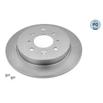 Jeu de 2 disques de frein arrière MEYLE