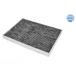 Filtre, air de l'habitacle MEYLE 312 320 0030 - Visuel 2