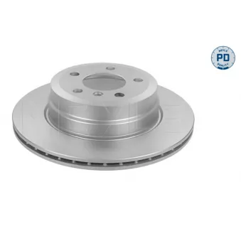 Jeu de 2 disques de frein arrière MEYLE 315 523 0024/PD