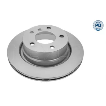 Jeu de 2 disques de frein arrière MEYLE 315 523 0028/PD