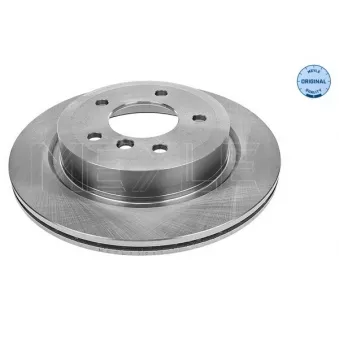 Jeu de 2 disques de frein arrière MEYLE 315 523 0036