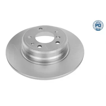 Jeu de 2 disques de frein arrière MEYLE 315 523 0039/PD