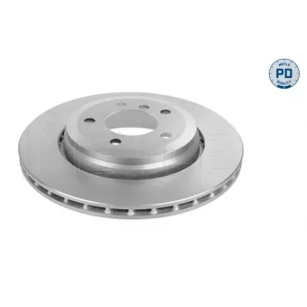 Jeu de 2 disques de frein arrière MEYLE 315 523 0043/PD