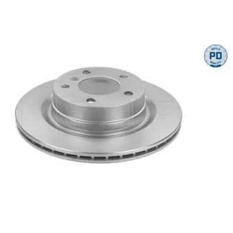 Jeu de 2 disques de frein arrière MEYLE 315 523 0049/PD