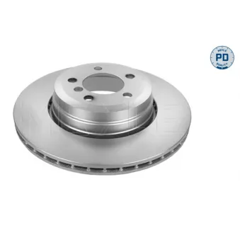 Jeu de 2 disques de frein arrière MEYLE 315 523 0052/PD