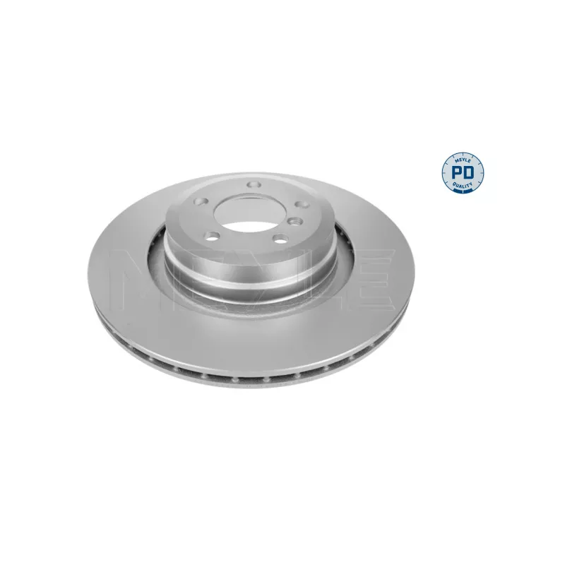 Jeu de 2 disques de frein arrière MEYLE 315 523 0056/PD