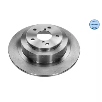 Jeu de 2 disques de frein arrière MEYLE 34-15 523 0003