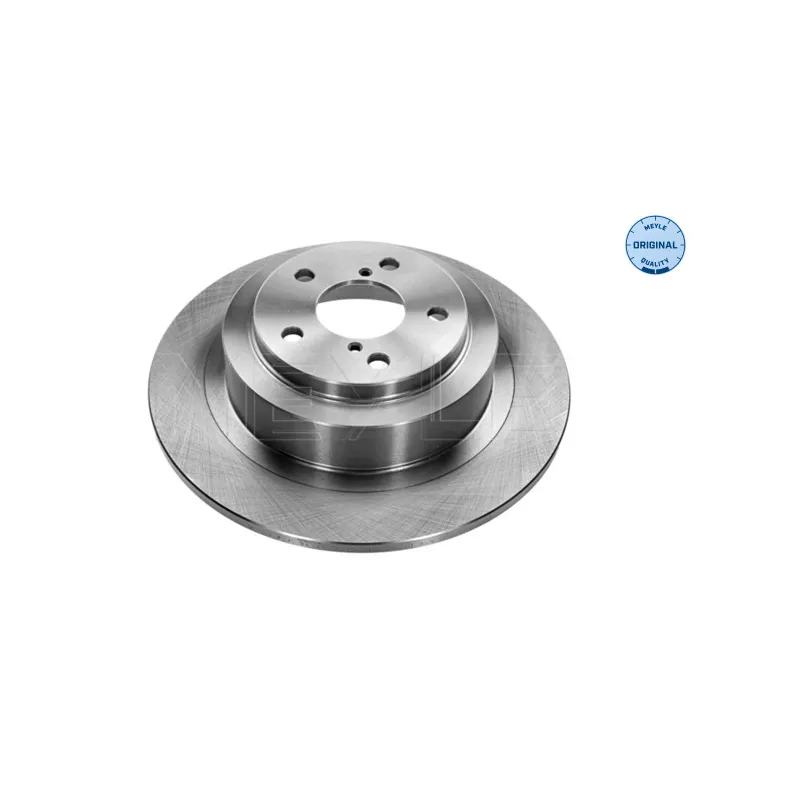 Jeu de 2 disques de frein arrière MEYLE 34-15 523 0003