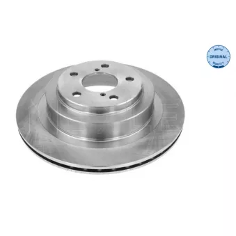 Jeu de 2 disques de frein arrière MEYLE 34-15 523 0013