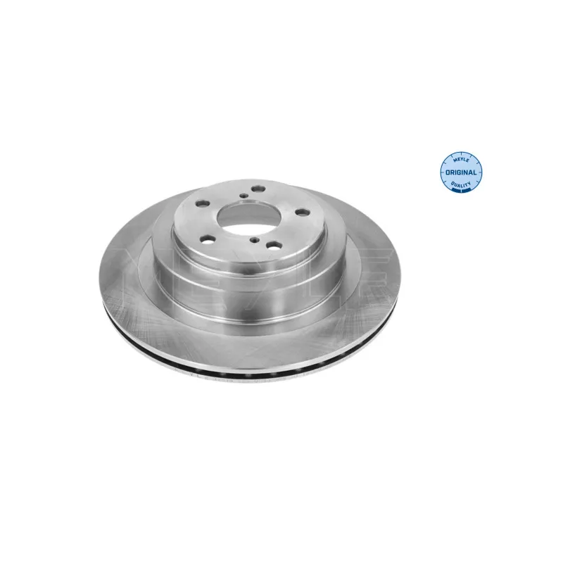Jeu de 2 disques de frein arrière MEYLE 34-15 523 0013
