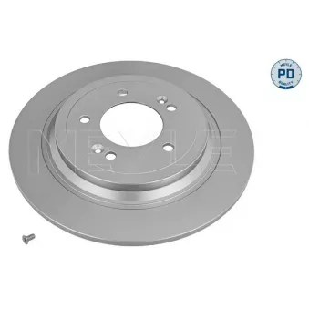 Jeu de 2 disques de frein arrière MEYLE