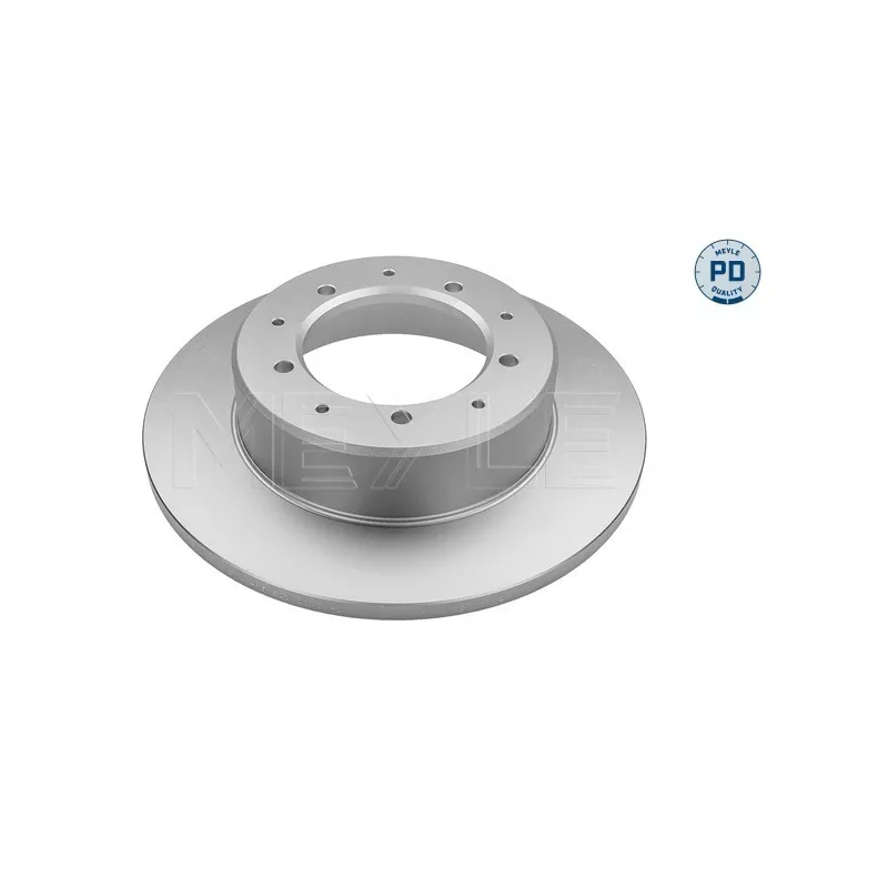 Jeu de 2 disques de frein arrière MEYLE 45-15 523 0003/PD