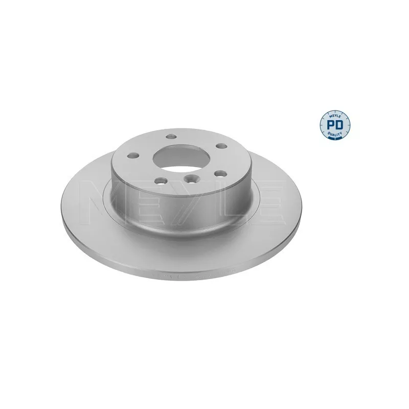Jeu de 2 disques de frein arrière MEYLE 45-15 523 0006/PD