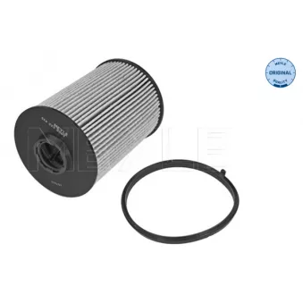 Filtre à carburant MEYLE 514 323 0009