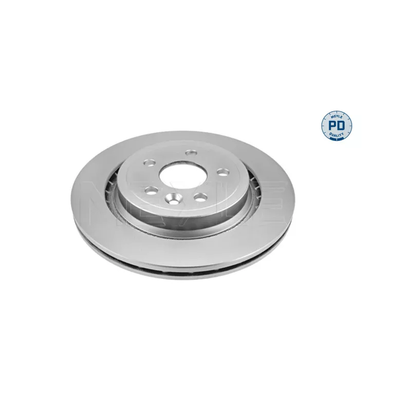 Jeu de 2 disques de frein arrière MEYLE 515 523 0006/PD