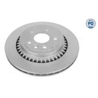 Jeu de 2 disques de frein arrière MEYLE 515 523 0009/PD