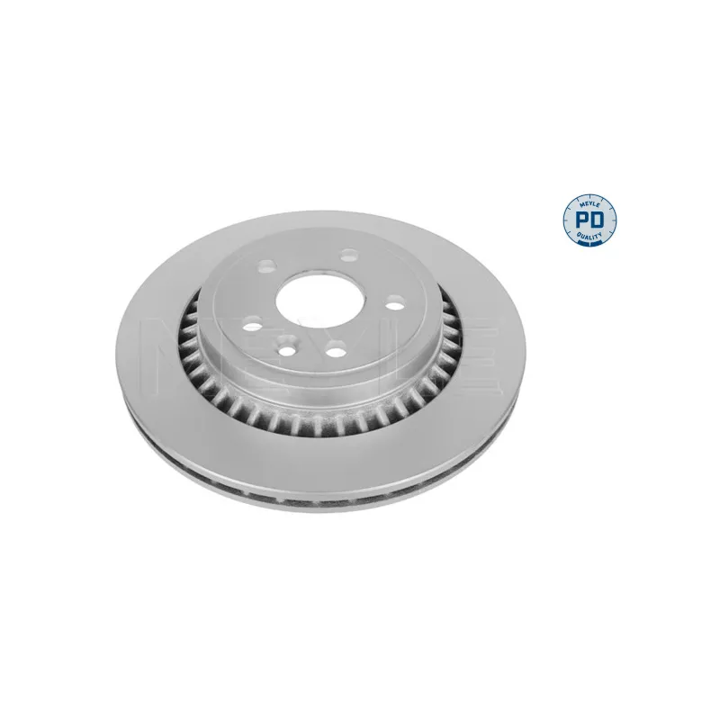 Jeu de 2 disques de frein arrière MEYLE 515 523 0009/PD