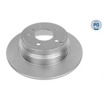 Jeu de 2 disques de frein arrière MEYLE 515 523 0013/PD