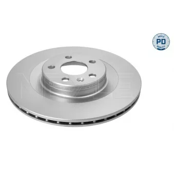 Jeu de 2 disques de frein arrière MEYLE 515 523 0016/PD