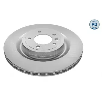 Jeu de 2 disques de frein arrière MEYLE 53-15 523 0009/PD