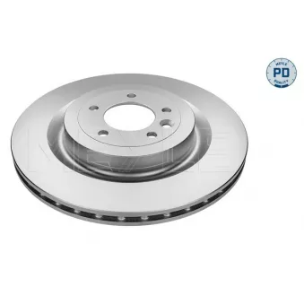 Jeu de 2 disques de frein arrière MEYLE 53-15 523 0010/PD