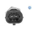 Sonde de température, liquide de refroidissement MEYLE 614 899 0038 - Visuel 2