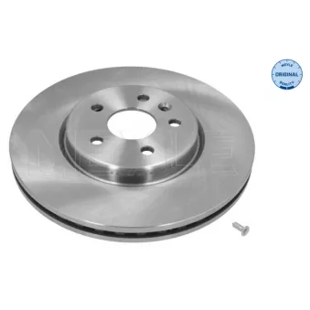 Jeu de 2 disques de frein avant MEYLE 615 521 0032