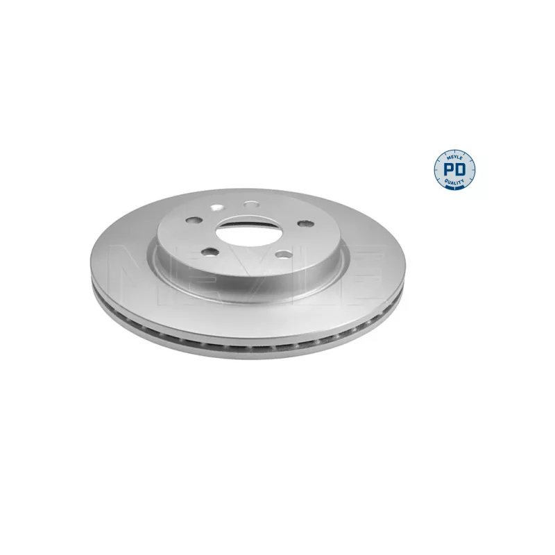 Jeu de 2 disques de frein arrière MEYLE 615 523 0019/PD