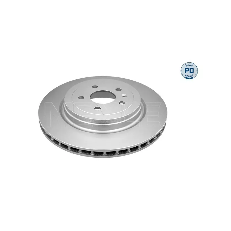 Jeu de 2 disques de frein arrière MEYLE 70-83 523 0001/PD