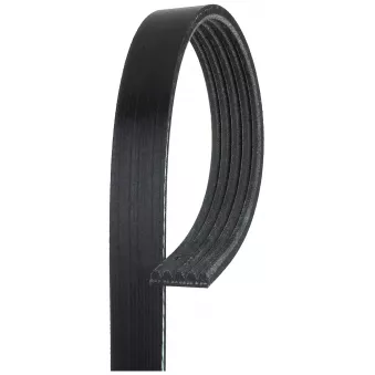 Courroie trapézoïdale à nervures GATES 5PK1208XS