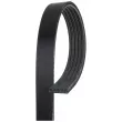 Courroie trapézoïdale à nervures GATES 5PK1783 - Visuel 1