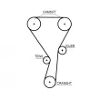 Kit de courroie crantée GATES K025699XS - Visuel 2