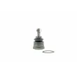 Rotule de suspension AISIN JBJDA-001 - Visuel 1