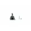 Rotule de suspension AISIN JBJDO-003 - Visuel 1