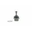 Rotule de suspension AISIN JBJDO-011 - Visuel 3