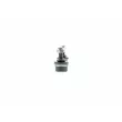 Entretoise/tige, stabilisateur AISIN JRSHY-007 - Visuel 1