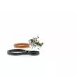 Thermostat, liquide de refroidissement AISIN THRAZ-7028 - Visuel 2