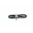 Kit de courroie crantée AISIN TSVG-054 - Visuel 2