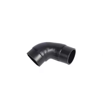 Gaine de suralimentation NRF 166194
