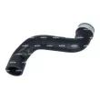Gaine de suralimentation NRF 166280 - Visuel 3