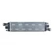Intercooler, échangeur NRF 30038 - Visuel 1