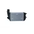 Intercooler, échangeur NRF 30066A - Visuel 3