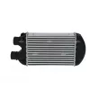 Intercooler, échangeur NRF 30122A - Visuel 1