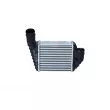 Intercooler, échangeur NRF 30131 - Visuel 1