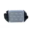 Intercooler, échangeur NRF 30133 - Visuel 1