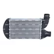 Intercooler, échangeur NRF 30134 - Visuel 1