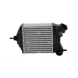 Intercooler, échangeur NRF 30141 - Visuel 1